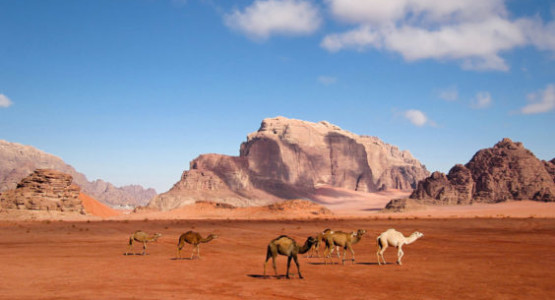 Jewels Of Jordan