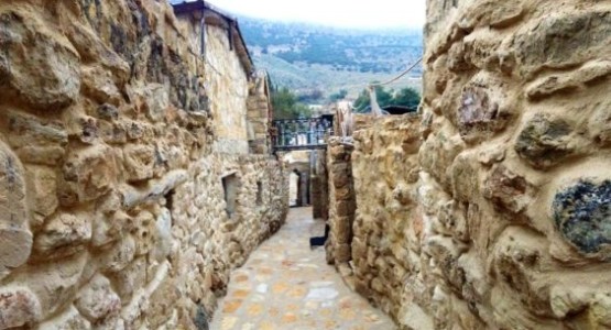 Jordan Nature & Culture