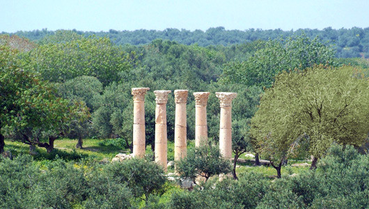 The Origins of Christianity in Jordan